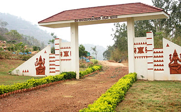 ದೈವೀ ವನ