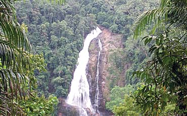 ಮುತ್ತಿ ಬನ್ನಿ