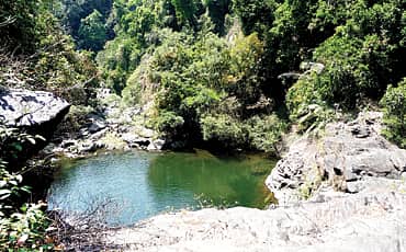 ವೀಲ್ ಫಾಲ್