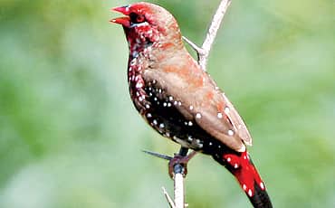 ನಾನು ಮುನಿಯ