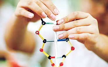 ಮೂಲ ಮಾನವ