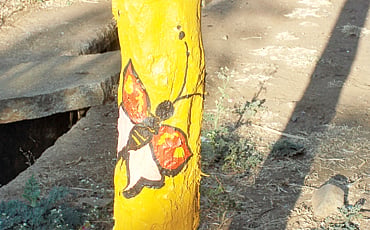 ದೃಶ್ಯಕಾವ್ಯ