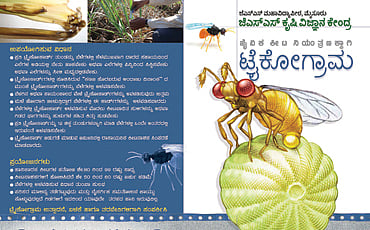 ಕೀಟ ಕಾಟ