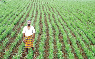ಋಷಿ ಶಂಕರ