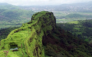 ಕಸ್ತೂರಿಗೇನು ಗೊತ್ತು ಪರಿಸರದ ಪರಿಮಳ?