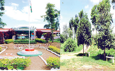 ಹಸಿರುಗುರು