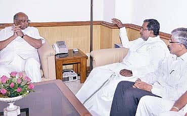 ಲೆವಿ ಲವ್!