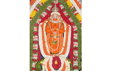 ಪೂರ್ಣ ಫಲ