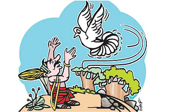 ಬುದ್ಧಿವಂತ ಪಾರಿವಾಳ