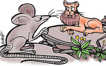 ಇಲಿಯ ಸಹಾಯ