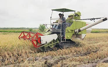 ಬಂಪರ್ ಭತ್ತ