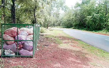 ಕಸಕ್ಕೇ ಬೀಗ