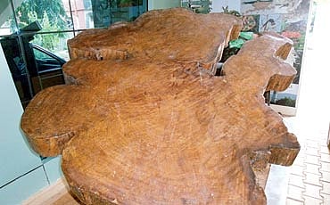 ಅಮರ ಕಥೆ