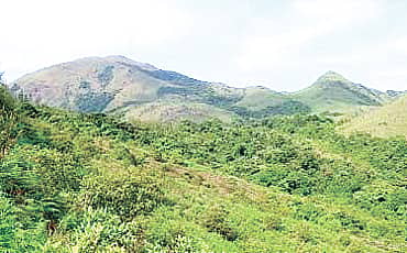 ಶಿಖರದ ತಡಿ