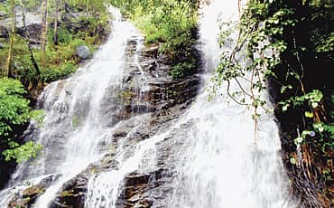 ಕತ್ತಲೆಕಾಡಿನ ನೀರೆಯರು