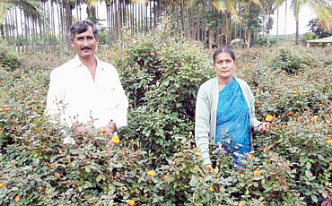ದೊಡ್ಡ ತಪಸ್ವಿ
