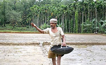 ಪ್ಯಾಡಿ ಕೇರ್
