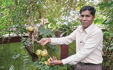 ಪಂಡಿತರ ಮನೆ