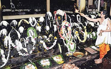 ನಾಗ ಪಂಚಮಿ