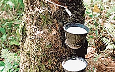 ಬರೋಬ್ಬರಿ ರಬ್ಬರ್