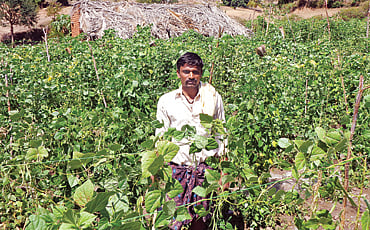 ಯುವ ರೈತನ ಕೃಷಿ ಪ್ರೇಮ