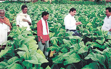 ವಸಂತ ಋತು