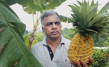 ತರಕಾರಿ ಶಾಲೆ