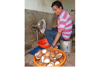 ತೆಂಗು ಮೌಲ್ಯವರ್ಧನೆಯ ತಾಜಾ ಸಾಹಸ