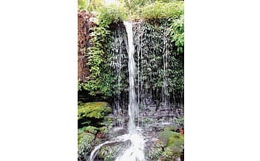 ಅಜ್ಜಿ ಗುಂಡಿ