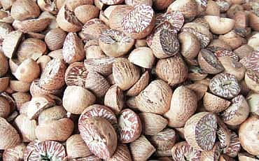 ಬಿಂಗ್ ಲಾಂಗ್