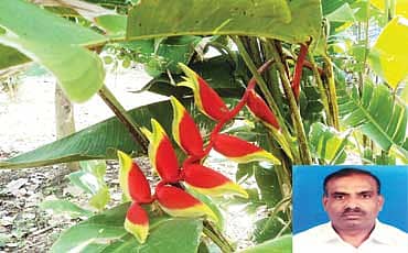 ಕುನ್ನೂರಲ್ಲಿ ಹೊನ್ನು
