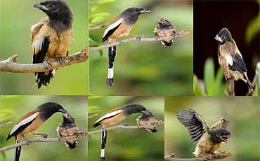 ಒಂದು ತುತ್ತಿನ ಕಥೆ