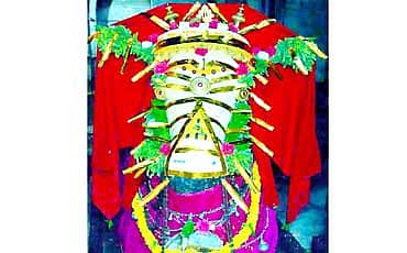 ಭಲೇ ಬಸವ...!