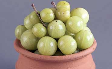 ಕೇಶ ಕಾಂತಿಗೆ ನೆಲ್ಲಿ