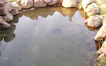 ಬಾದಾಮಿ ಬುಗ್ಗೆ