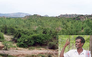 ಹಸಿರು ರಕ್ಷಕ