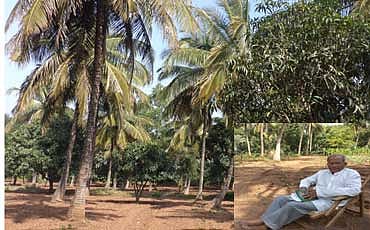 ಸಾವಯವ ಸಾಗುವಳಿ