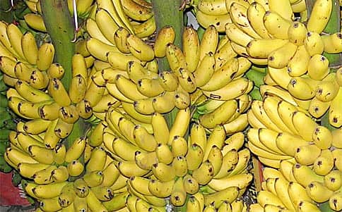 ಏಲಕ್ಕಿ ಬಾಳೆ