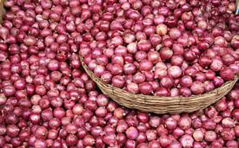 ಈರುಳ್ಳಿ ರೈತರಿಗೆ ಸರ್ಕಾರ ಅಭಯ