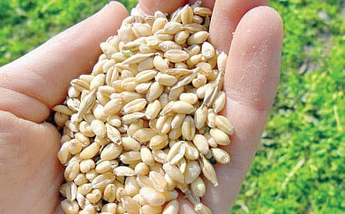 ಟಿಎಫ್‌ಎ: ಗೆದ್ದ ಭಾರತ