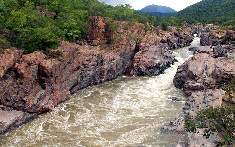 ಮೇಕೆದಾಟುಗೆ ಅರಣ್ಯ ಇಲಾಖೆ ವಿರೋಧ