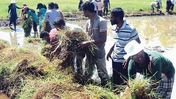 ಎಲ್ಲ ರೈತರಿಗೆ ಸೋಯಿಲ್ ಹೆಲ್ತ್ ಕಾರ್ಡ್