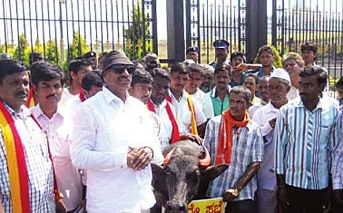 ಬೇರೇನೂ ಆಗದಿದ್ದರೆ ಎಮ್ಮೆಗಳ ಸಭೆ ನಡೆಸಿ!