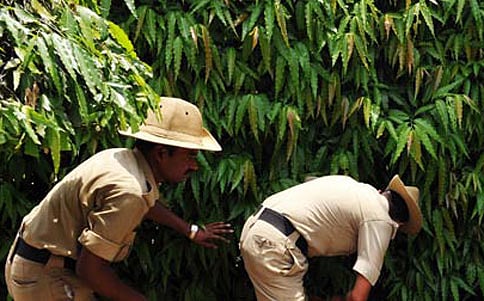 ಸೆಂಟ್ರಲ್ ಮಾಲ್ ಗೆ ಹುಸಿ ಬಾಂಬ್ ಕರೆ