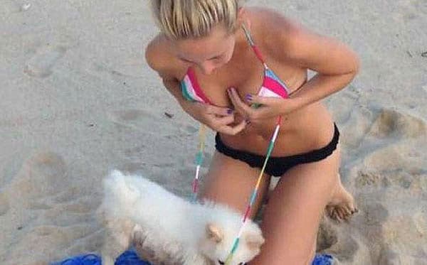 ಪ್ರಾಣಿಗಳ 10 ಫನ್ನಿ ಫೋಟೊಗಳು <p><a href=