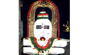 ಗೊಂಬೆ ಊರಿನ ನೀಲಕಂಠ