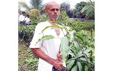 ಸ್ವಾವಲಂಬಿ ದಂಪತಿ