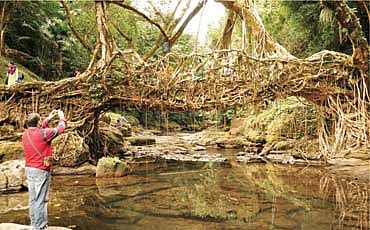ಮೇಘಾಲಯದ ಉಸಿರಾಡುವ ಸೇತುವೆ