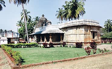 ಹಲಸಿ ಬೆಳಸಿ