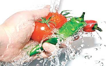 Vegಜ್ಞಾನ